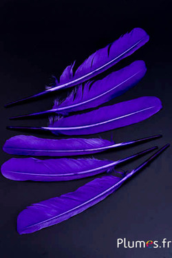 Cygne - 30-33 cm - violet